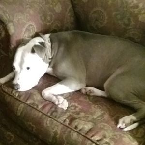 Meet your Posher, Leann